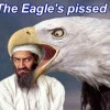 eagle_binLaden_small